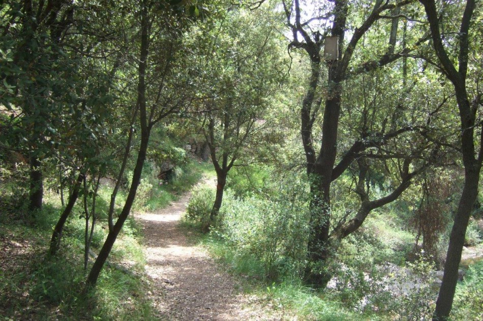 Ruta del Marquet de les Roques