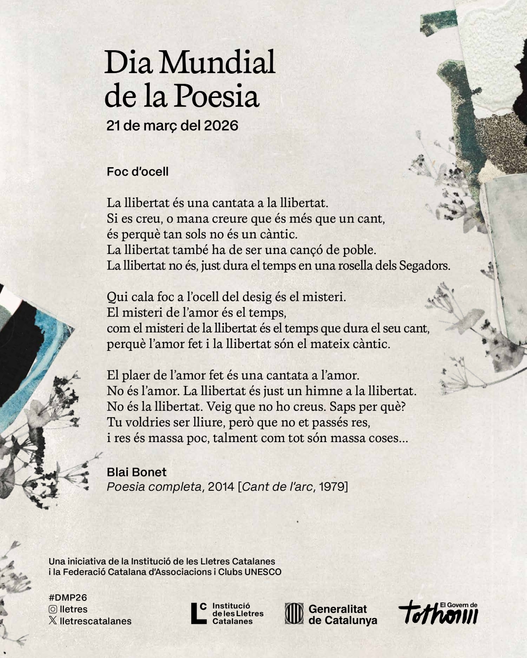 Il&middot;lustraci&oacute; del poema a c&agrave;rrec de Shada Safadi
